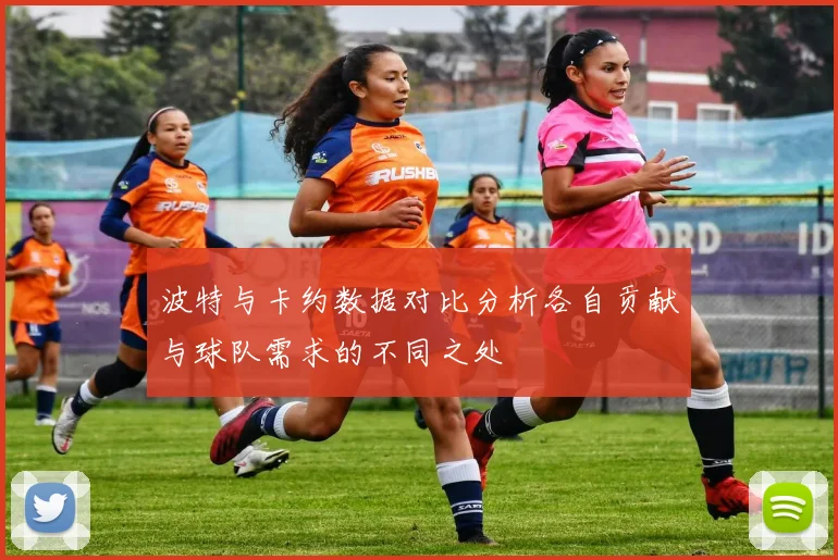 波特与卡约数据对比分析各自贡献与球队需求的不同之处