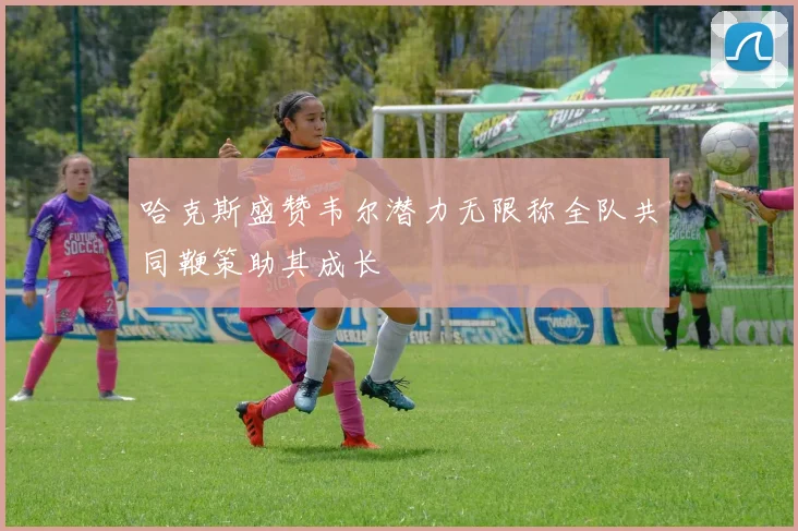哈克斯盛赞韦尔潜力无限称全队共同鞭策助其成长