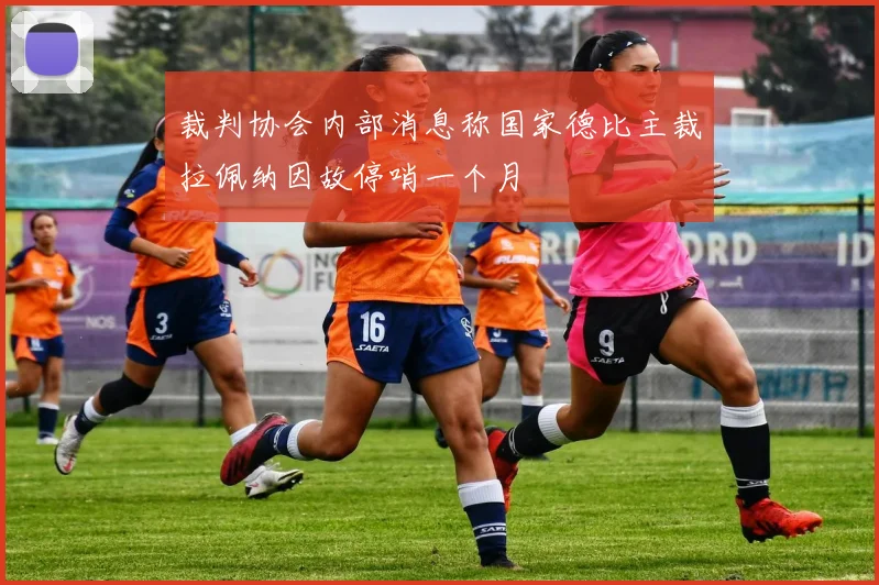 裁判协会内部消息称国家德比主裁拉佩纳因故停哨一个月