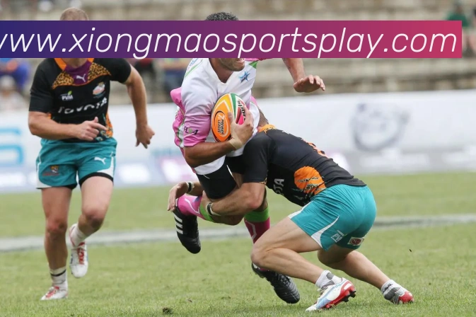 熊猫体育发展历程